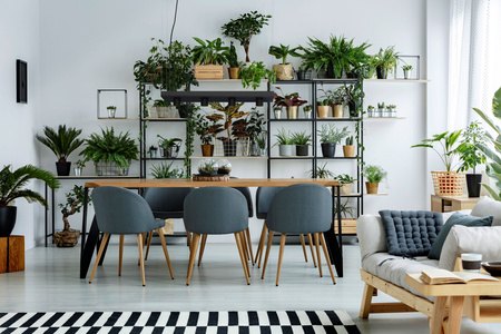 PLANT 9381 Nowodvorski Stropní lampa Černá 4xGU10 Závěsná obdélníková ocel Moderní