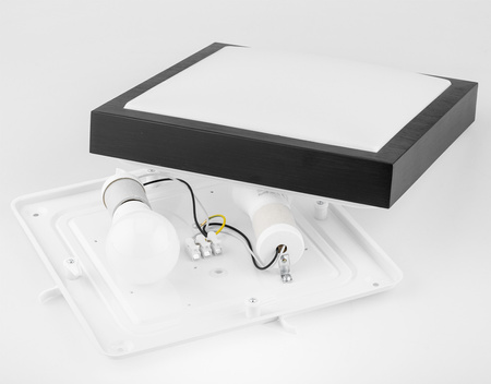 Stropní LED svítidlo Stropní nástěnné svítidlo čtvercové černé 2xE27 IP44