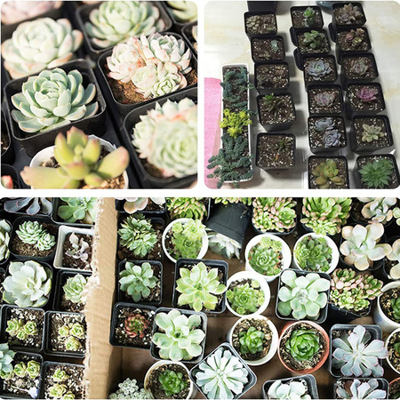 Sada 24x rašelinových květináčů 8x8 cm pro výsev sazenic Biologicky odbouratelné kulaté květináče