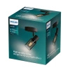Nástěnné svítidlo Nástěnné svítidlo E14 Black Palms Philips