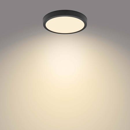 Plafond Panel LED Povrchové stropní svítidlo MAGNEOS 20W 2700K 28cm Black Downlight Round PHILIPS