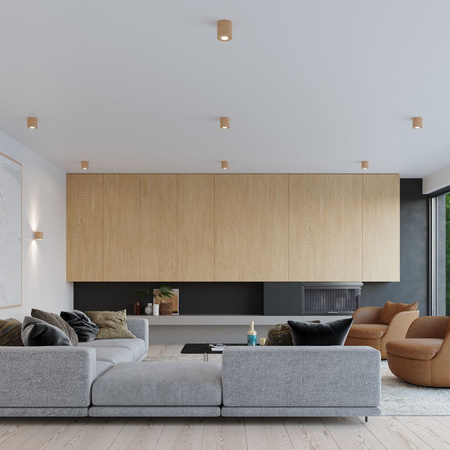 Svítidlo pro povrchovou montáž ORBIS GU10 Spot Tuba Skandinávské dřevěné SOLLUX