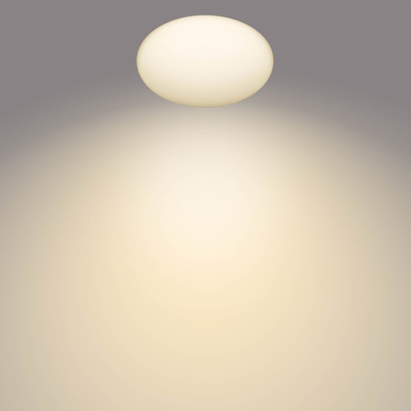 Plafond LED povrchová montáž SHAN 12W 2700K 26cm kulatý se senzorem pohybu PHILIPS