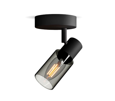 Nástěnné svítidlo Nástěnné svítidlo E14 Black Palms Philips