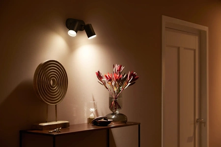 Philips HUE White and Color Ambiance Fugato Lamp 2x4,2W Bluetooth Zigbee