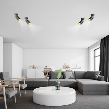 Stropní svítidlo ERIS SPOT. reflektor. halogenová žárovka GU10. černá a zlatá