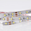 LED pásek 12V 10W 300LED 2835 Studený 8mm 5m