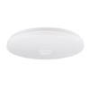 PLAFON LED 49cm kulatá stropní lampa RGBW 3000K-6500K + dálkové ovládání BLUETOOTH reproduktor
