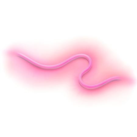 Venkovní LED pásek 24W RGB 5M SMART WiFi WiZ