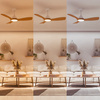 Stropní ventilátor 28W LED stropní svítidlo 24W 2650lm 3000/4300/6500K CCT Brown White + Pilot Olas Philips