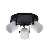 SPECTRA BLACK/WHITE Pohyblivé stropní svítidlo pro povrchovou montáž černá/bílá Moderní 3xE27 3491 TK Lighting