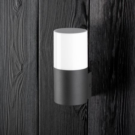 LED fasádní nástěnné svítidlo E27 IP44 17cm grafitové DALLAS GOLDLUX (Polux)