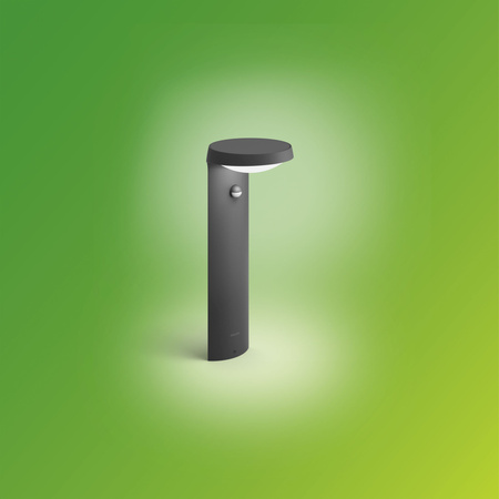 Venkovní LED zahradní svítidlo TYLA IR myGarden 9W 2700K IP44 s pohybovým a soumrakovým čidlem tyč 40cm antracit PHILIPS