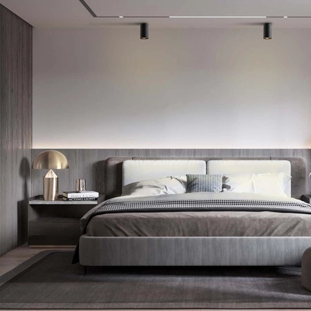 Přisazené svítidlo Stropní svítidlo LED trubice GU10 Černá VIDEX