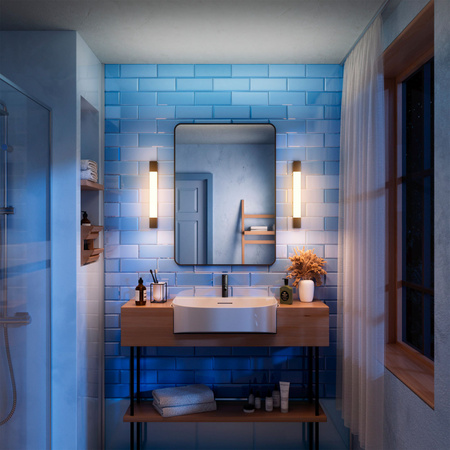 LED Světlo nad Zrcadlo 5W 730lm 2700K 44cm IP44 Černá Rover Philips