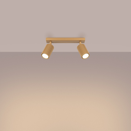 Bodové reflektorové stropní svítidlo Tuba 2x GU10 Gold Carbon Deep Space SL.1561 Sollux