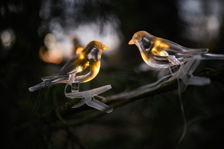 Solární zahradní řetěz Girland Light Birds On Clip 3,2 m IP44 Warm