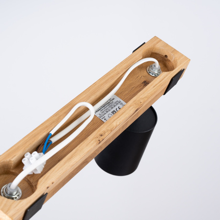 FAGER 2xGU10 Spotlight Moving Black Skandinávské stropní svítidlo SOLLUX