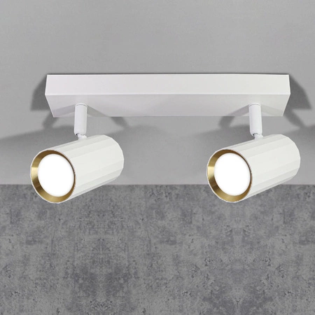 Nástěnné a stropní bodové svítidlo 2x GU10 White Gold NICEA Sanico Goldlux