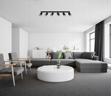 Stropní svítidlo ERIS SPOT Reflektor Halogenové svítidlo 6xGU10 Černá a zlatá