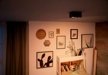 LED halogenové svítidlo pro povrchovou montáž 2x 4,5W BOX Movable Black PHILIPS