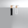 Svítidlo pro povrchovou montáž PABLO GU10 Halogen Spot Tuba Wood-Black SOLLUX