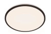 Plafond LED lampa pro povrchovou montáž OZZIET 22W 4000K 40cm černá kulatá PHILIPS