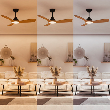 Stropní ventilátor 28W LED stropní svítidlo 24W 2650lm 3000/4300/6500K CCT Black Brown + Pilot Olas Philips