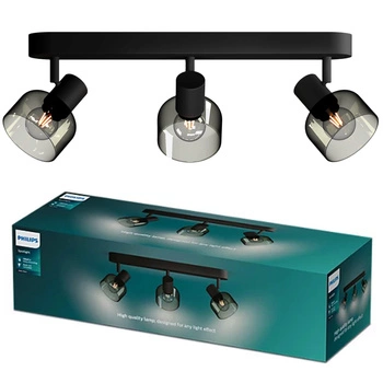 Reflektorové stropní svítidlo 3x E14 Black Sleet Philips
