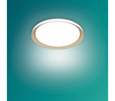 Stropní svítidlo LED Plafond 10W 1950lm 4000K SceneSwitch White Pebblo Ultra Efficient Philips