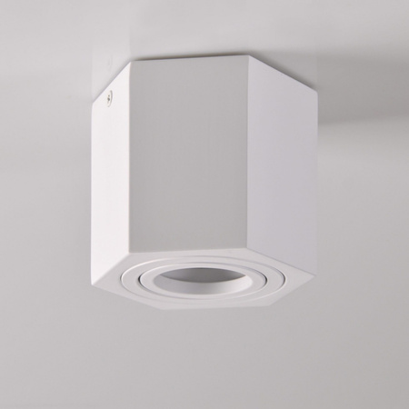 Hexagon GU10 LED pohyblivé SPOT bílé přisazené stropní svítidlo