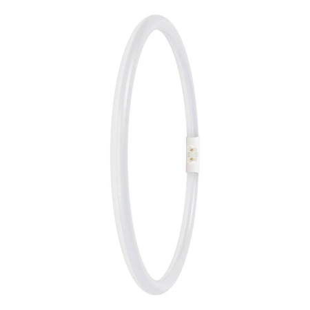 LED kruhová zářivka 2GX13 T5 21,5W 3200lm 6500K Cold 120° Ledvance