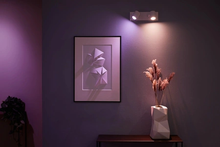 Bílá a barevná ambientní lampa Philips HUE Argenta 2x4,2 W Bluetooth Zigbee