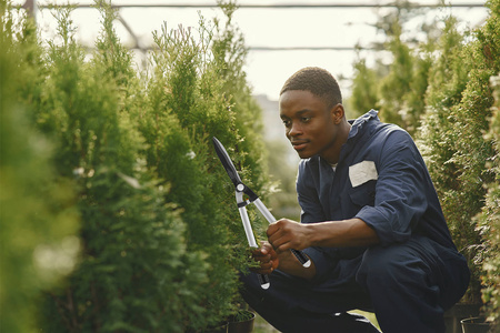 Rovné zahradní nůžky BASIC CELLFAST