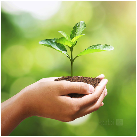 LED žárovka E27 Ball 9W 806lm 3000K Warm 240° LED2B Kobi