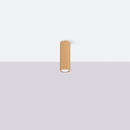 Stropní svítidlo Tuba Spot GU10 Gold Carbon Deep Space SL.1550 Sollux