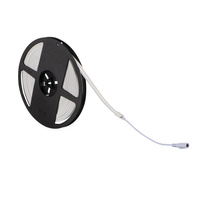LED pásek NEON 60W 2700K IP65 24V DC 5m teplý KANLUX