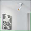 LUMILED HUMA RAIL SET WHITE + SAGI RAIL SPOTLIGHT WHITE-GOLD