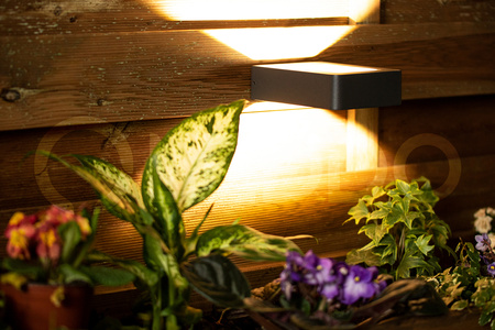 Svítidlo zahradní lampa FASÁDNÍ STĚNOVÁ LED lampa 6W Malta černá