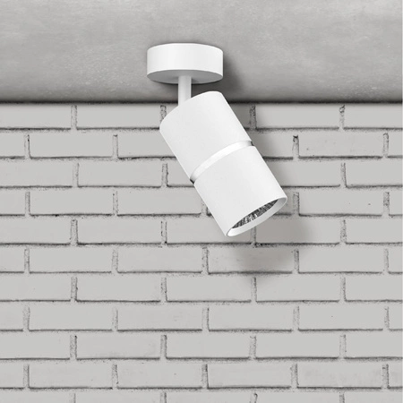 Nástěnné a stropní bodové svítidlo GU10 White Silver BAMBOO Sanico Goldlux