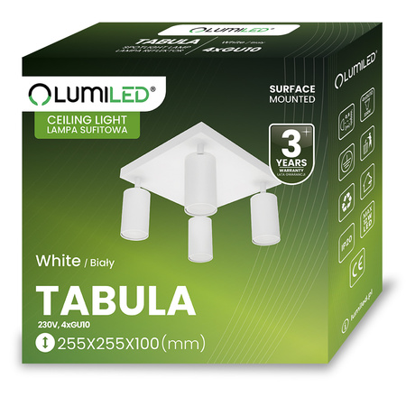 Stropní svítidlo Plafond SPOT TUBA Reflektor Halogenové svítidlo 4x GU10 TABULA LUMILED