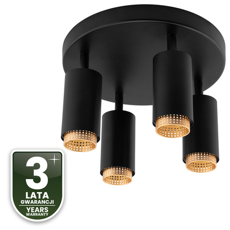 Reflektorové stropní svítidlo 4x GU10 Plafond ELIGIS Black LUMILED