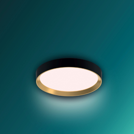 Stropní svítidlo LED Plafond 24W 2700lm 2700K SceneSwitch Black Hanno Philips