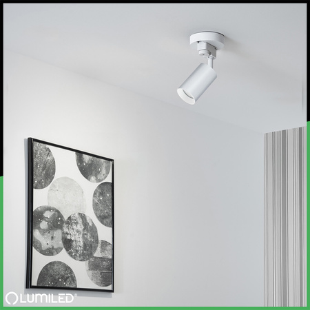 LUMILED HUMA RAIL KIT WHITE + SAGI RAIL SPOTLIGHT WHITE