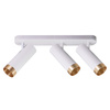 Nástěnné a stropní bodové svítidlo 3x GU10 White Gold FADO Sanico Goldlux