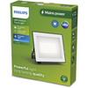 Reflektor LED 30W 3200lm 5000K IP65 Black Lois Philips
