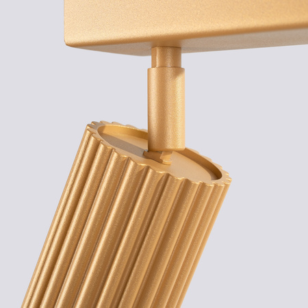 Bodové reflektorové stropní svítidlo Tuba 2x GU10 Gold Carbon Deep Space SL.1561 Sollux