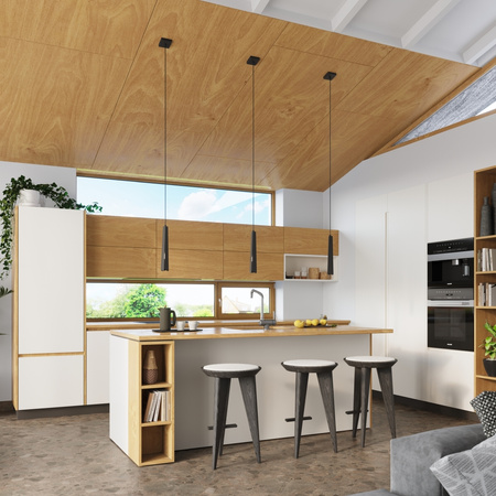 PRYSM 1 G9 Black Skandinávské stropní závěsné svítidlo SOLLUX