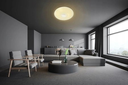 LED PLAIN 50cm kulatá stropní lampa RGBW 3000K-6500K + dálkové ovládání BLUETOOTH SPEAKER