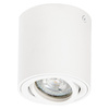 Spot Tuba GU10 White Spot Surface Ledvance Stropní reflektorové svítidlo